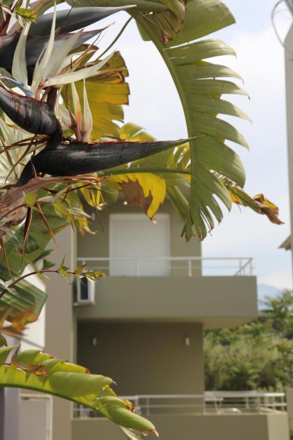 Kamares Apts - Antonis Cozy Maisonette Chania  Exterior photo